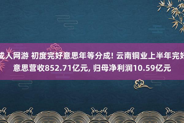 成人网游 初度完好意思年等分成! 云南铜业上半年完好意思营收852.71亿元， 归母净利润10.59亿元