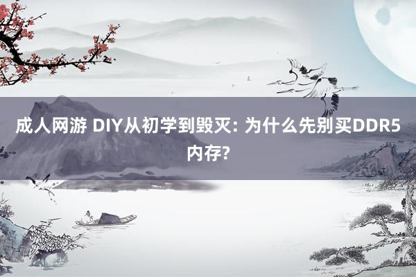 成人网游 DIY从初学到毁灭: 为什么先别买DDR5内存?