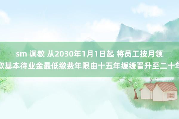 sm 调教 从2030年1月1日起 将员工按月领取基本待业金最低缴费年限由十五年缓缓晋升至二十年