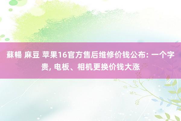 蘇暢 麻豆 苹果16官方售后维修价钱公布: 一个字贵， 电板、相机更换价钱大涨