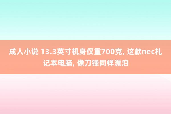 成人小说 13.3英寸机身仅重700克， 这款nec札记本电脑， 像刀锋同样漂泊