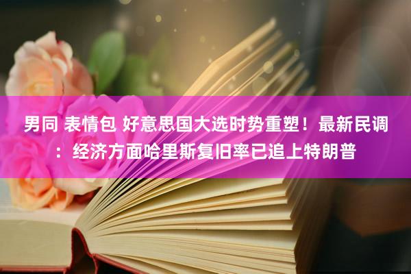 男同 表情包 好意思国大选时势重塑！最新民调：经济方面哈里斯复旧率已追上特朗普