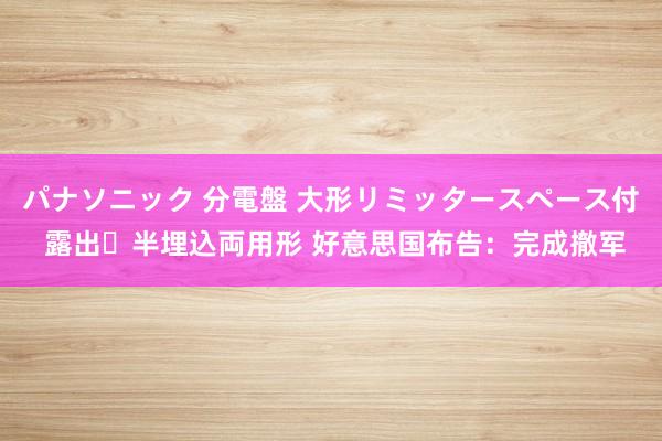 パナソニック 分電盤 大形リミッタースペース付 露出・半埋込両用形 好意思国布告：完成撤军