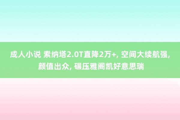 成人小说 索纳塔2.0T直降2万+， 空间大续航强， 颜值出众， 碾压雅阁凯好意思瑞