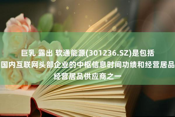 巨乳 露出 软通能源(301236.SZ)是包括腾讯在内的国内互联网头部企业的中枢信息时间功绩和经营居品供应商之一