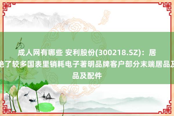 成人网有哪些 安利股份(300218.SZ)：居品灭绝了较多国表里销耗电子著明品牌客户部分末端居品及配件