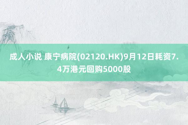 成人小说 康宁病院(02120.HK)9月12日耗资7.4万港元回购5000股