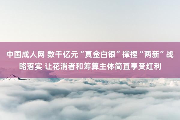 中国成人网 数千亿元“真金白银”撑捏“两新”战略落实 让花消者和筹算主体简直享受红利