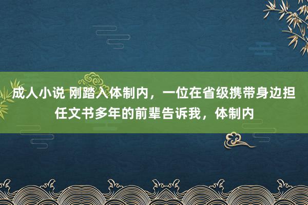 成人小说 刚踏入体制内，一位在省级携带身边担任文书多年的前辈告诉我，体制内