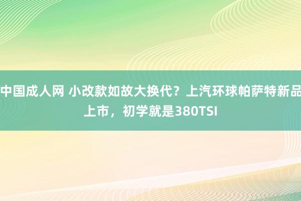 中国成人网 小改款如故大换代？上汽环球帕萨特新品上市，初学就是380TSI