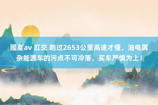 國產av 肛交 跑过2653公里高速才懂，油电羼杂能源车的污点不可冷落，买车严慎为上！