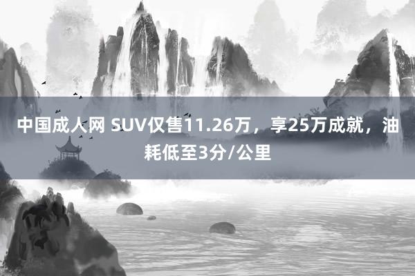 中国成人网 SUV仅售11.26万，享25万成就，油耗低至3分/公里