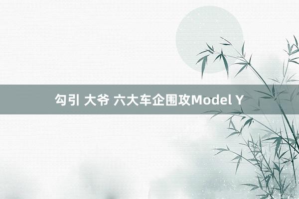 勾引 大爷 六大车企围攻Model Y