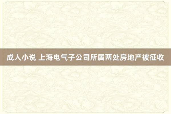 成人小说 上海电气子公司所属两处房地产被征收