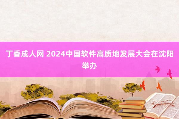 丁香成人网 2024中国软件高质地发展大会在沈阳举办