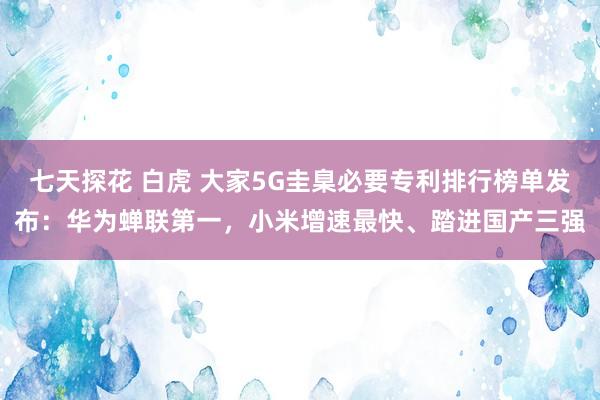 七天探花 白虎 大家5G圭臬必要专利排行榜单发布：华为蝉联第一，小米增速最快、踏进国产三强