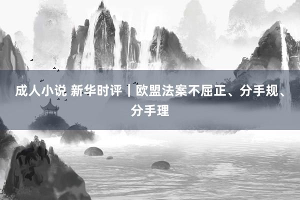 成人小说 新华时评｜欧盟法案不屈正、分手规、分手理