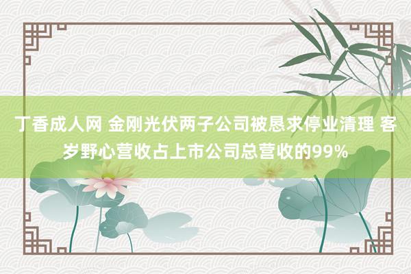 丁香成人网 金刚光伏两子公司被恳求停业清理 客岁野心营收占上市公司总营收的99%