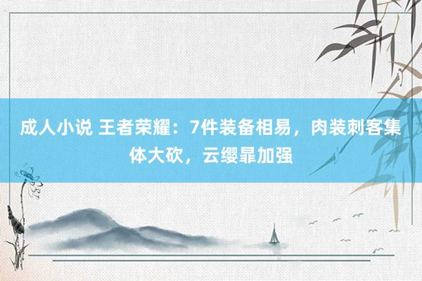 成人小说 王者荣耀：7件装备相易，肉装刺客集体大砍，云缨暃加强