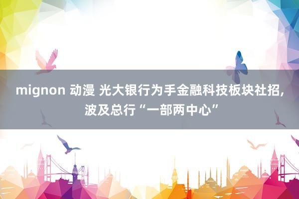 mignon 动漫 光大银行为手金融科技板块社招， 波及总行“一部两中心”