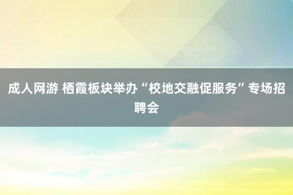 成人网游 栖霞板块举办“校地交融促服务”专场招聘会