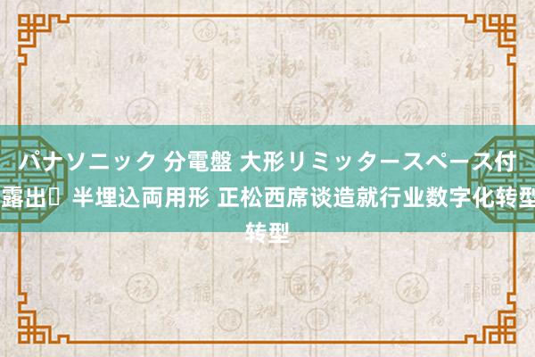 パナソニック 分電盤 大形リミッタースペース付 露出・半埋込両用形 正松西席谈造就行业数字化转型