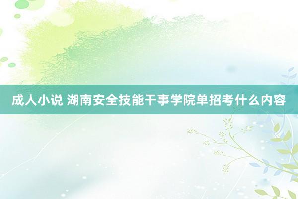 成人小说 湖南安全技能干事学院单招考什么内容