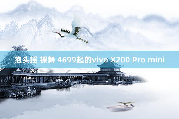 抱头摇 裸舞 4699起的vivo X200 Pro mini