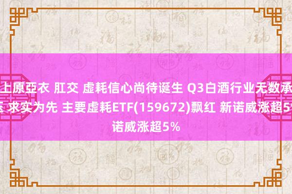 上原亞衣 肛交 虚耗信心尚待诞生 Q3白酒行业无数承压 求实为先 主要虚耗ETF(159672)飘红 新诺威涨超5%