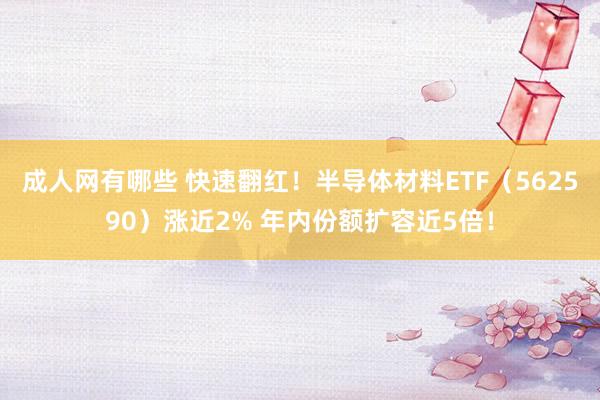 成人网有哪些 快速翻红！半导体材料ETF（562590）涨近2% 年内份额扩容近5倍！