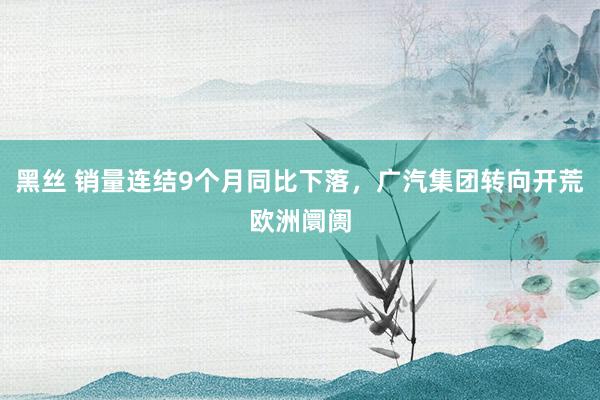 黑丝 销量连结9个月同比下落，广汽集团转向开荒欧洲阛阓