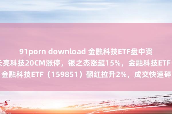 91porn download 金融科技ETF盘中资讯|资金回流金融科技！长亮科技20CM涨停，银之杰涨超15%，金融科技ETF（159851）翻红拉升2%，成交快速碎裂2亿元！