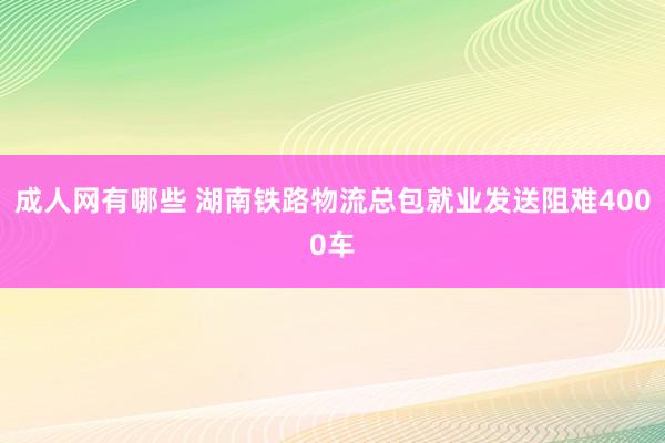 成人网有哪些 湖南铁路物流总包就业发送阻难4000车