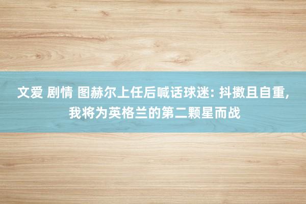 文爱 剧情 图赫尔上任后喊话球迷: 抖擞且自重， 我将为英格兰的第二颗星而战