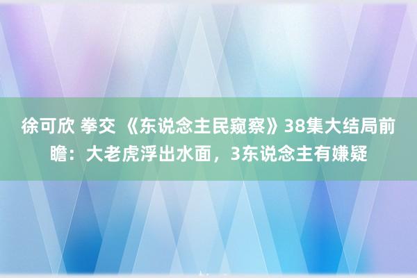 徐可欣 拳交 《东说念主民窥察》38集大结局前瞻：大老虎浮出水面，3东说念主有嫌疑