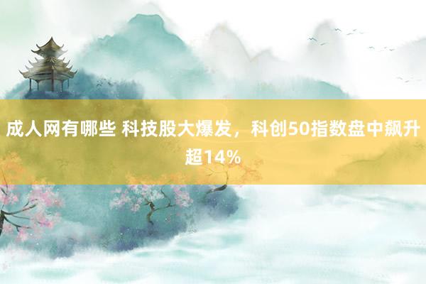 成人网有哪些 科技股大爆发，科创50指数盘中飙升超14%