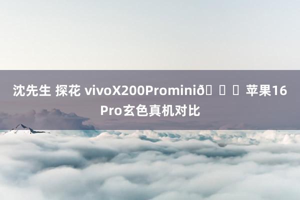 沈先生 探花 vivoX200Promini🆚苹果16Pro玄色真机对比