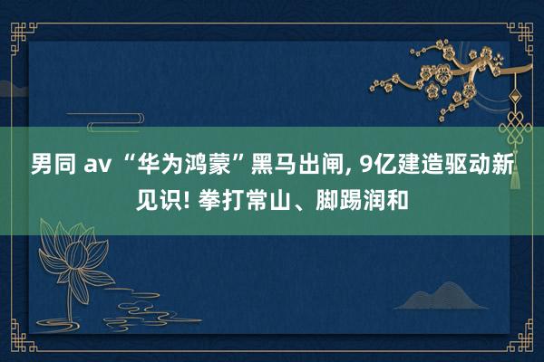 男同 av “华为鸿蒙”黑马出闸， 9亿建造驱动新见识! 拳打常山、脚踢润和