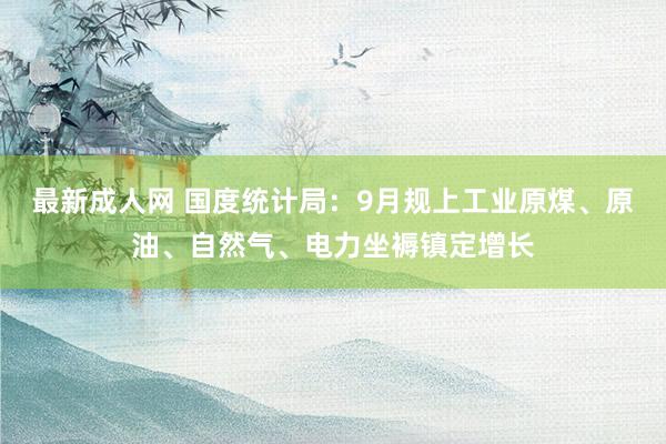 最新成人网 国度统计局：9月规上工业原煤、原油、自然气、电力坐褥镇定增长