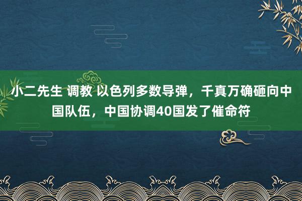 小二先生 调教 以色列多数导弹，千真万确砸向中国队伍，中国协调40国发了催命符