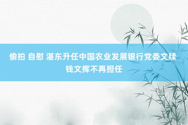 偷拍 自慰 湛东升任中国农业发展银行党委文牍 钱文挥不再担任