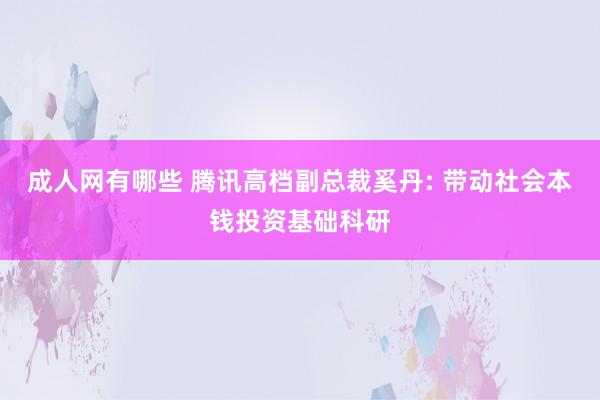 成人网有哪些 腾讯高档副总裁奚丹: 带动社会本钱投资基础科研