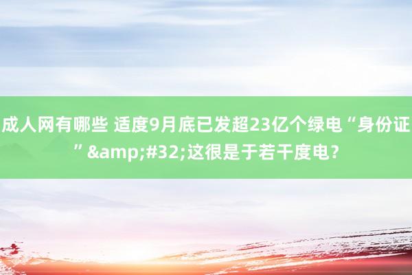 成人网有哪些 适度9月底已发超23亿个绿电“身份证”&#32;这很是于若干度电？