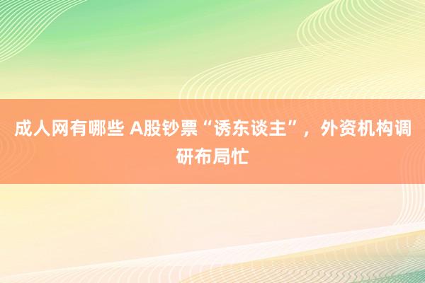 成人网有哪些 A股钞票“诱东谈主”，外资机构调研布局忙