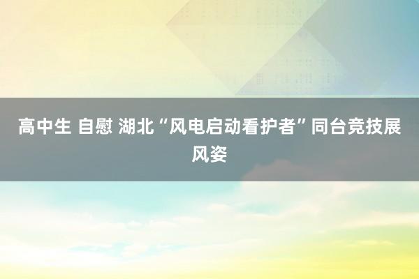 高中生 自慰 湖北“风电启动看护者”同台竞技展风姿