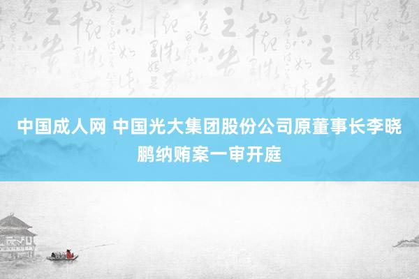 中国成人网 中国光大集团股份公司原董事长李晓鹏纳贿案一审开庭