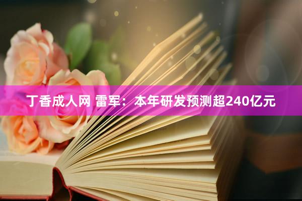 丁香成人网 雷军：本年研发预测超240亿元