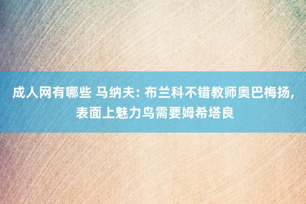 成人网有哪些 马纳夫: 布兰科不错教师奥巴梅扬， 表面上魅力鸟需要姆希塔良