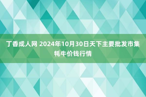 丁香成人网 2024年10月30日天下主要批发市集牦牛价钱行情