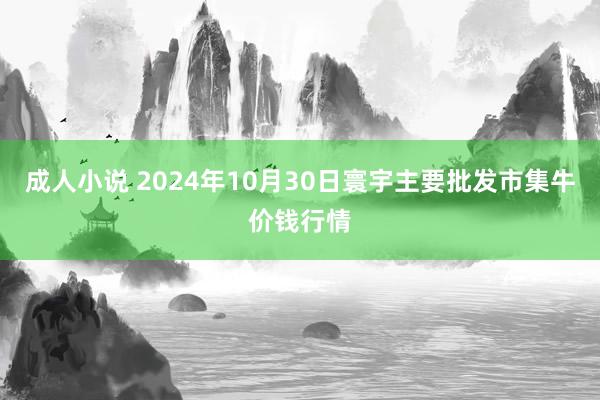 成人小说 2024年10月30日寰宇主要批发市集牛价钱行情